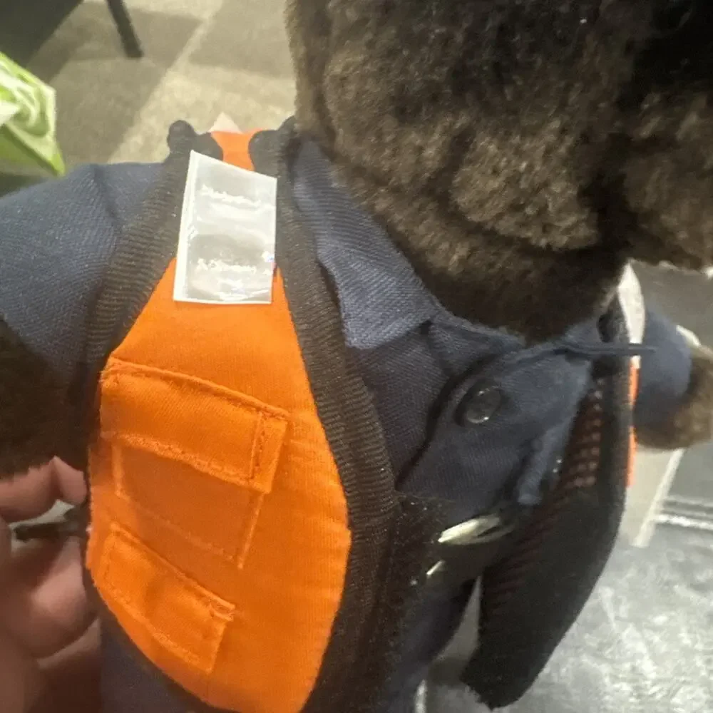 Bear Forces Of America US Coast Guard Teddy Bear Vintage Plush With Tags 10”